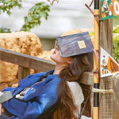 不发光的太阳